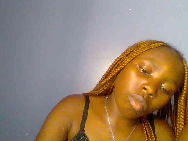 chocolate-brownie webcam