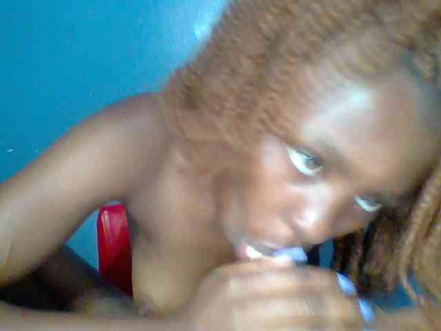chocolate-brownie webcam