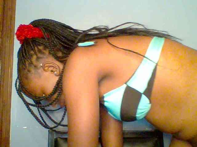 chocolate-brownie webcam