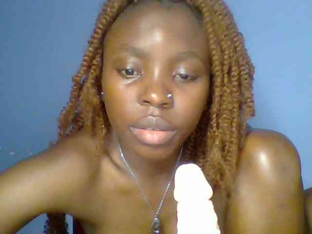 chocolate-brownie webcam
