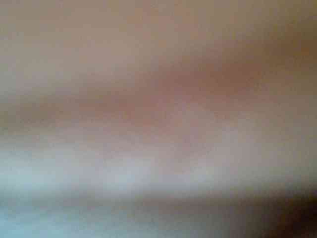 chocolate-brownie webcam