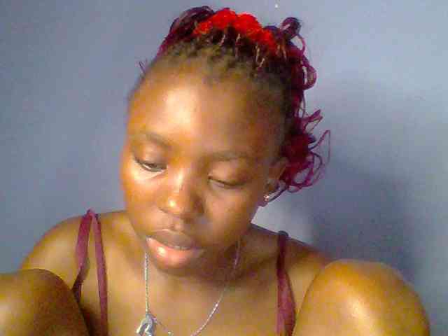 chocolate-brownie webcam