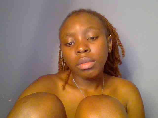 chocolate-brownie webcam