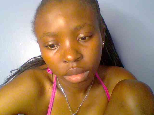 chocolate-brownie webcam