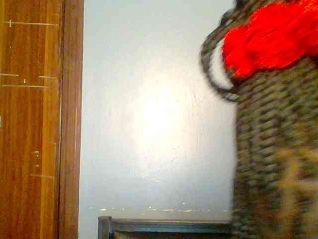 chocolate-brownie webcam