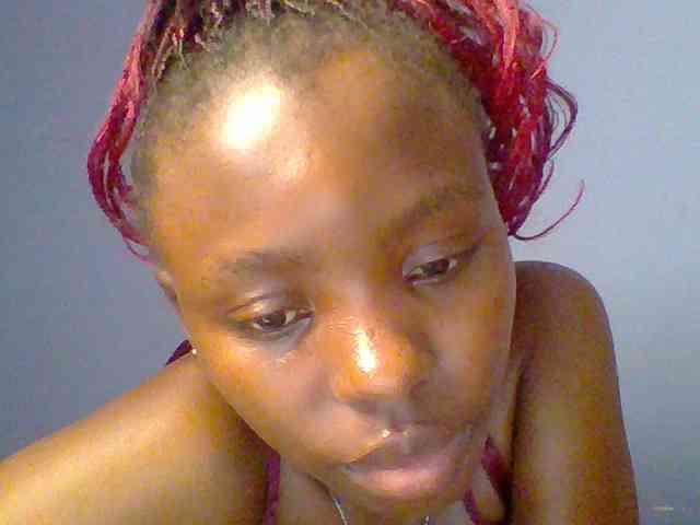 chocolate-brownie webcam