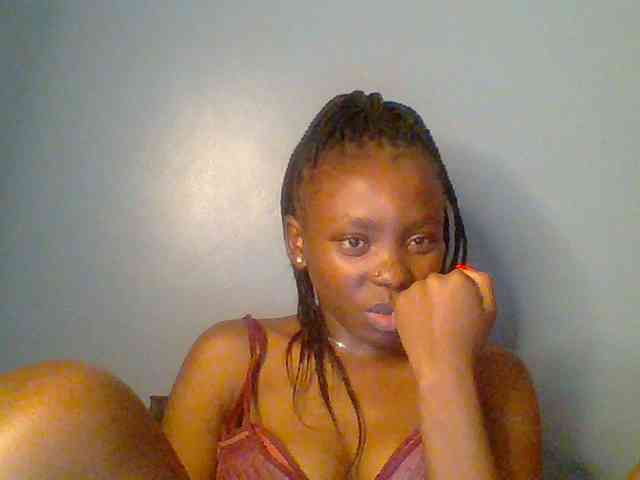 chocolate-brownie webcam