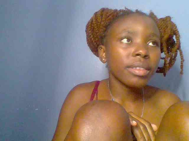 chocolate-brownie webcam