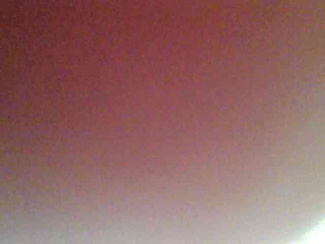 chocolate-brownie webcam