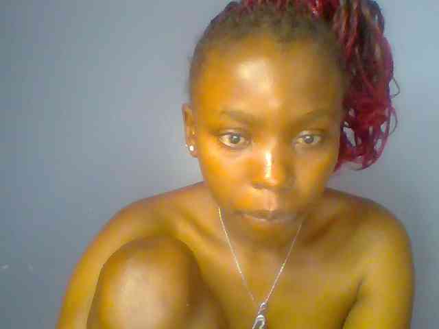 chocolate-brownie webcam