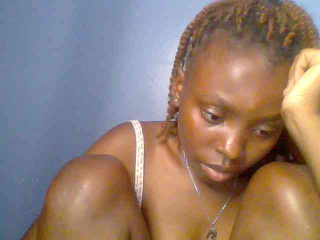 chocolate-brownie webcam