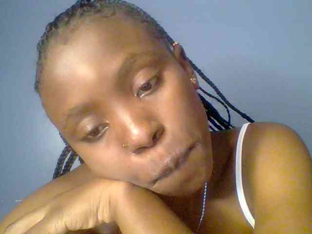 chocolate-brownie webcam