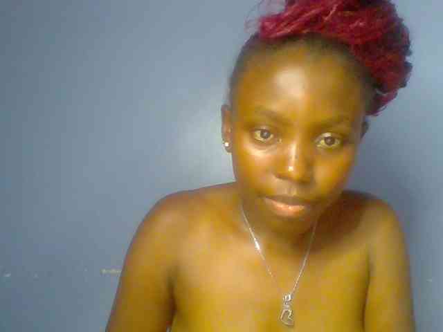 chocolate-brownie webcam