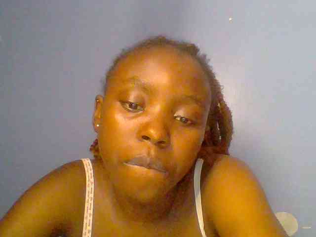 chocolate-brownie webcam