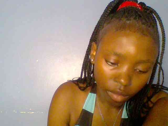 chocolate-brownie webcam