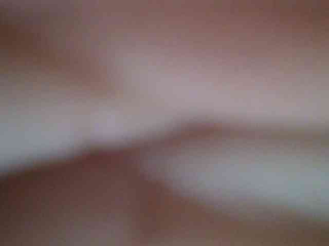 chocolate-brownie webcam