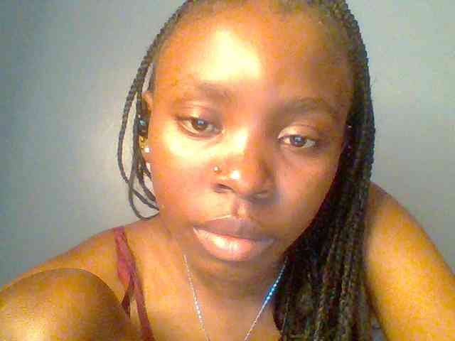 chocolate-brownie webcam