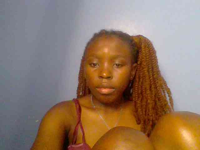 chocolate-brownie webcam