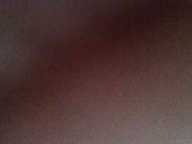 chocolate-brownie webcam