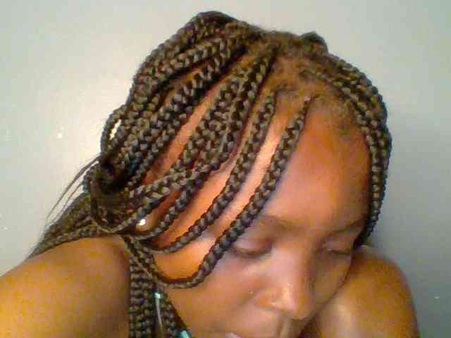 chocolate-brownie webcam