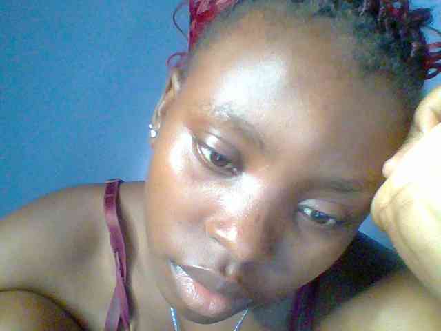 chocolate-brownie webcam