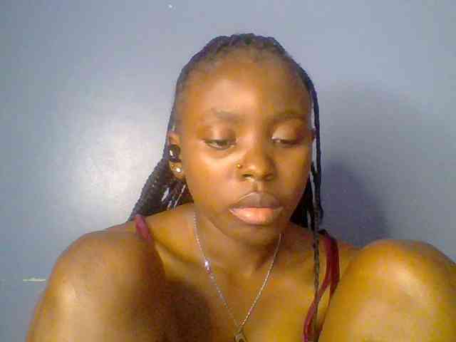 chocolate-brownie webcam