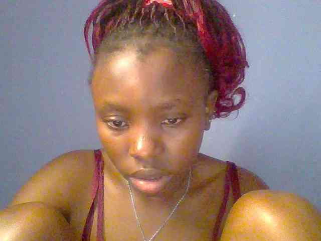 chocolate-brownie webcam