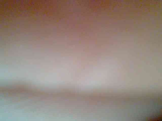 chocolate-brownie webcam