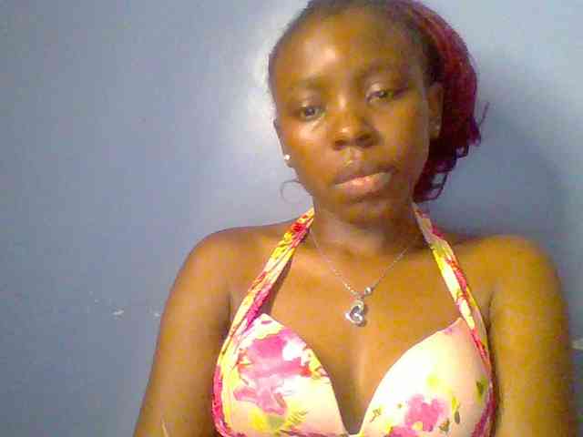 chocolate-brownie webcam