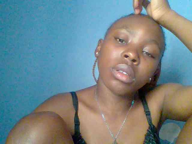 chocolate-brownie webcam
