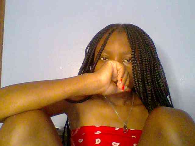 chocolate-brownie webcam