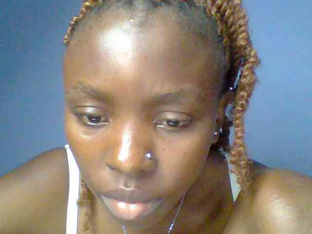 chocolate-brownie webcam
