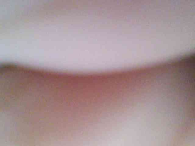 chocolate-brownie webcam