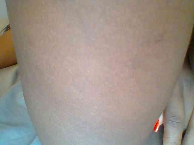 chocolate-brownie webcam