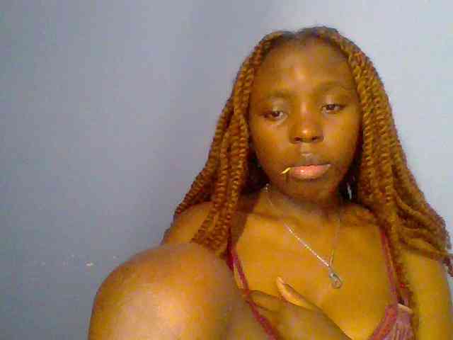 chocolate-brownie webcam