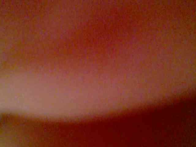 chocolate-brownie webcam