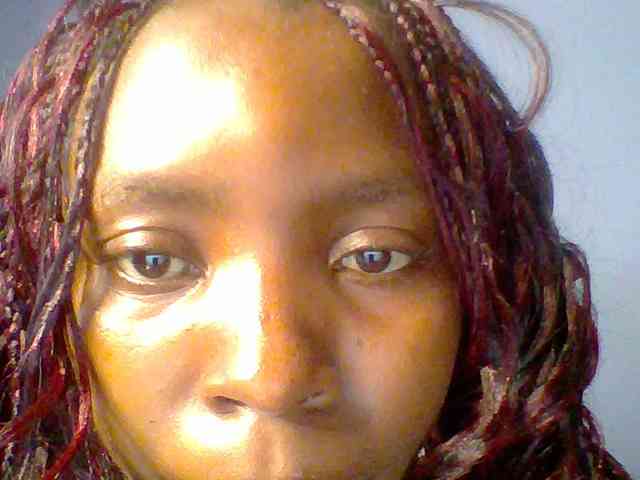 chocolate-brownie webcam