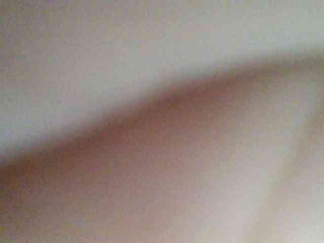 chocolate-brownie webcam