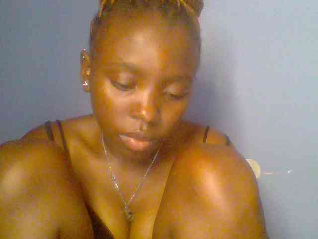 chocolate-brownie webcam