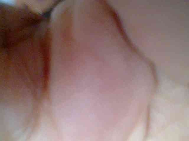 chocolate-brownie webcam