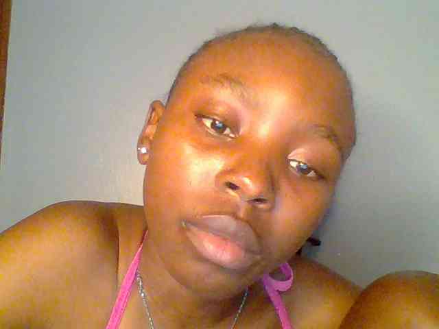 chocolate-brownie webcam