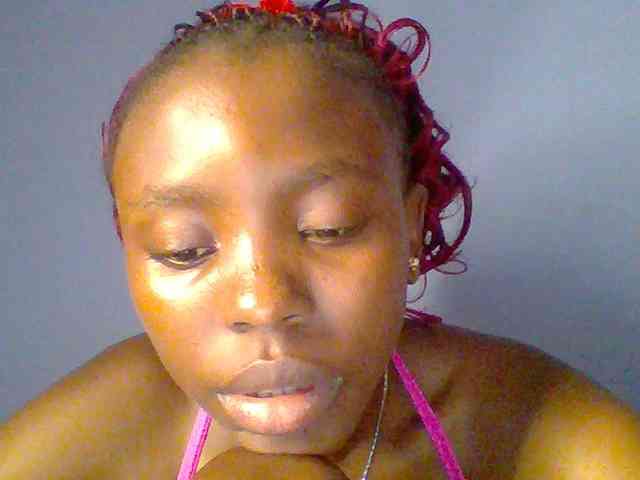 chocolate-brownie webcam