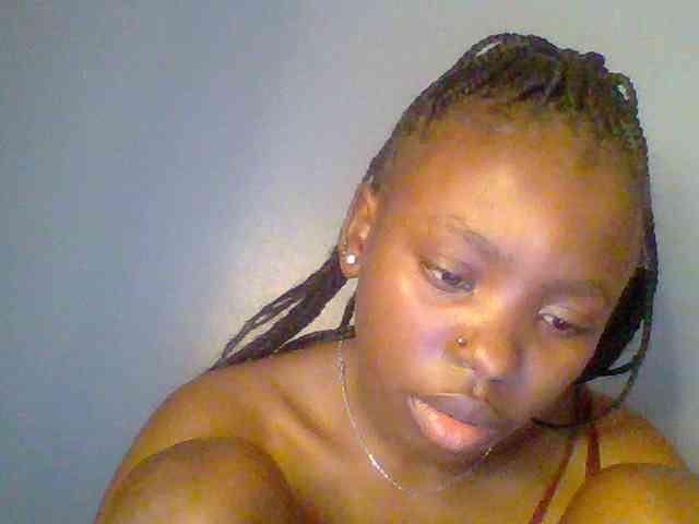 chocolate-brownie webcam