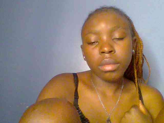 chocolate-brownie webcam