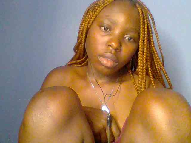 chocolate-brownie webcam