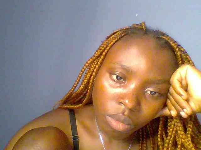 chocolate-brownie webcam