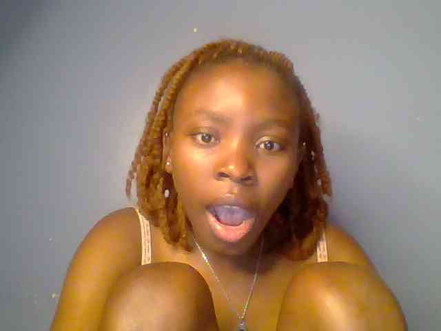 chocolate-brownie webcam