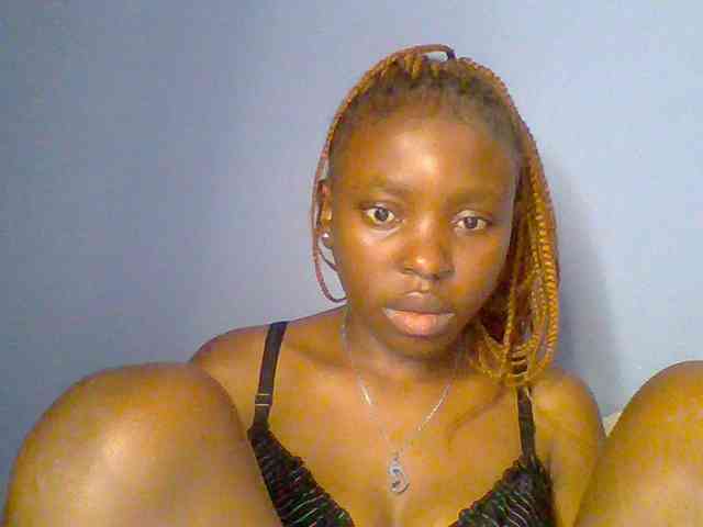 chocolate-brownie webcam