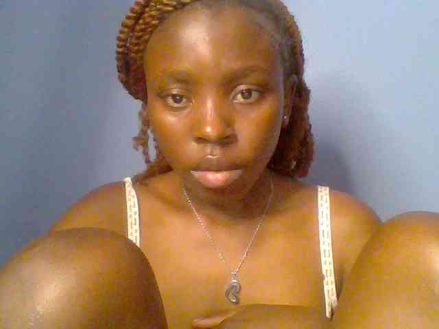 chocolate-brownie webcam