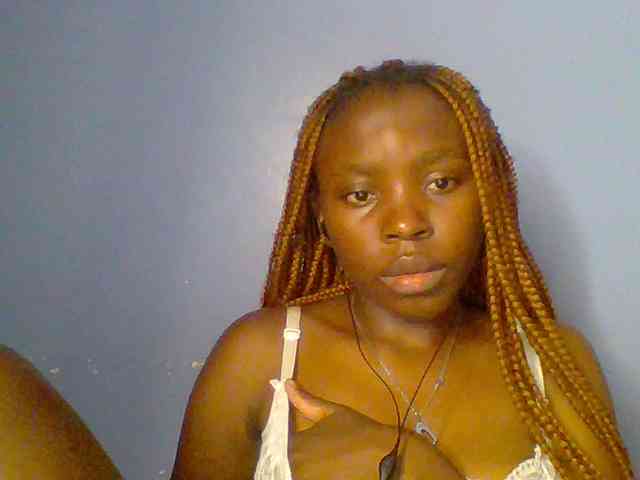 chocolate-brownie webcam